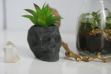 Faceted Concrete Skull Planter | Candleholder - Kaiko Studio