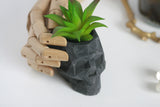 Faceted Concrete Skull Planter | Candleholder - Kaiko Studio