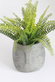 Concrete Zen Planter Large | Flowerpot - Kaiko Studio