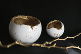 White Concrete Decorative Sphere | Concrete Planter - Kaiko Studio