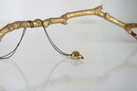 Brass Bird Skull Necklace | Blackbird